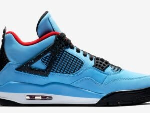Nike Air Jordan 4 Travis Scott Cactus