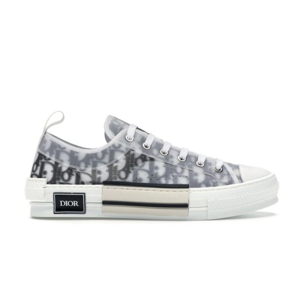 Dior Oblique B23 Grey