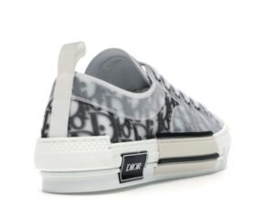 Dior Oblique B23 Grey