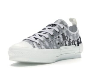 Dior Oblique B23 Grey