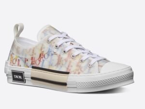 Dior Oblique B23 Street