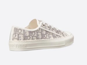 Dior Walk Grey