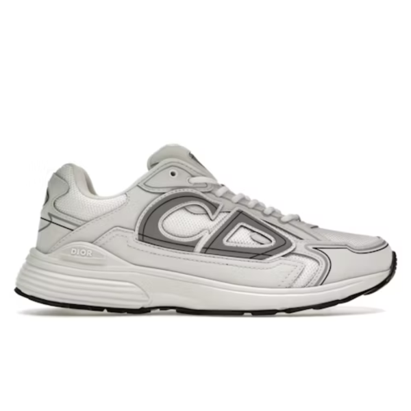 Dior B30 En Gris