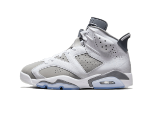 Air Jordan 6 Cool Grey